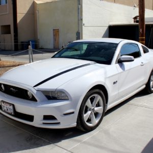 Hood Stripes fits 2014-2015 Ford Mustang – Many Colors and Logos