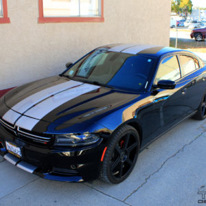Racing Stripes for the 2015-2016 Dodge Charger -Precision Cut