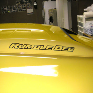 Hood Scoop / Tail Gate Decals- 2004-2005 Dodge Rumble Bee