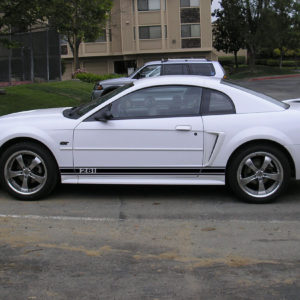Side Stripes – 1999-2004 Ford Mustang / GT 99-04 – Stripe Kit