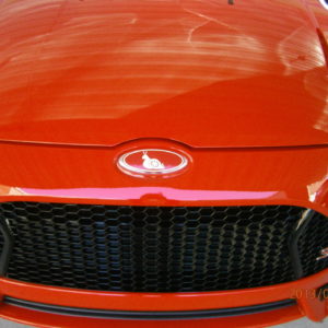 Turbo Snail Emblem Decals (x3) – 2013-2019 Ford Fiesta ST