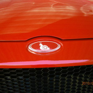 Turbo Snail Emblem Decals (x3) – 2012-2018 Ford Focus ALL